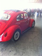 VW 1960