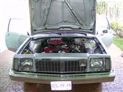 Mi Buick Skylark 81 - Mi Buick Skylark 81