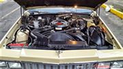 Chevrolet Caprice Classic Landau 1979 - Chevrolet Caprice Classic Landau 1979