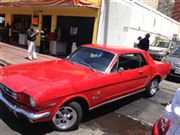 Mustang 65 - Mustang 65