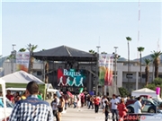 Calificación de Imágenes del Evento - Parte V - Segundo Desfile y Exposición de Autos Clásicos Antiguos Torreón