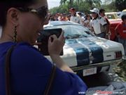 Ford Mustang Shelby GT 350 1966 - 25 Aniversario Museo del Auto y del Transporte de Monterrey's Rating