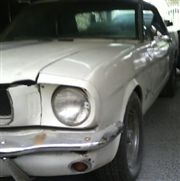 CABALLO BLANCO MUSTANG 19641/2