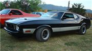 MUSTANG MACH ONE 1973  nacional enterito en gral super de todo.