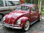 Calificación de 1956 VW Sedan - 10o Encuentro Nacional de Autos Antiguos Atotonilco