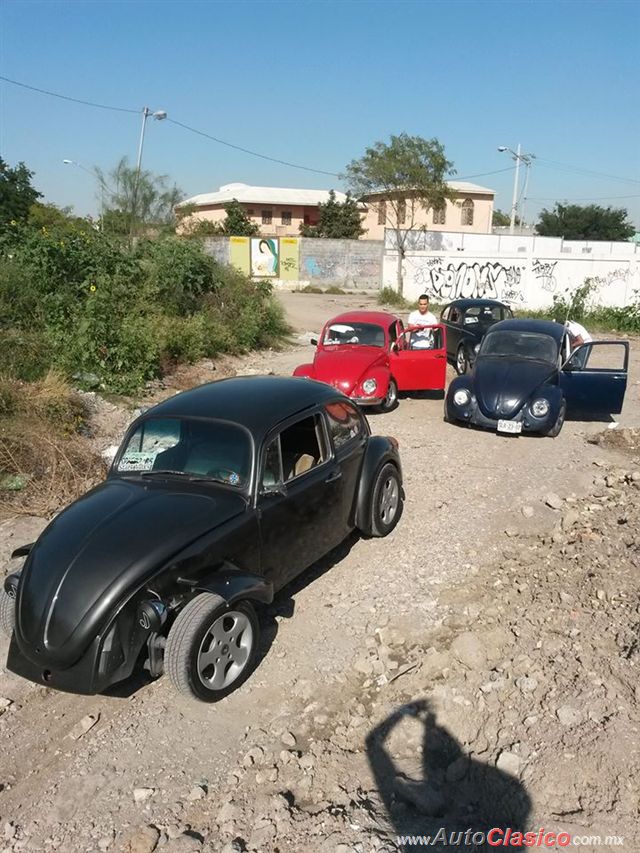 1984 volkswagen sedan - Regio Volks 2015