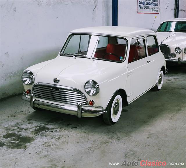 1959 austin mini - Día Nacional del Auto Antiguo Monterrey 2018