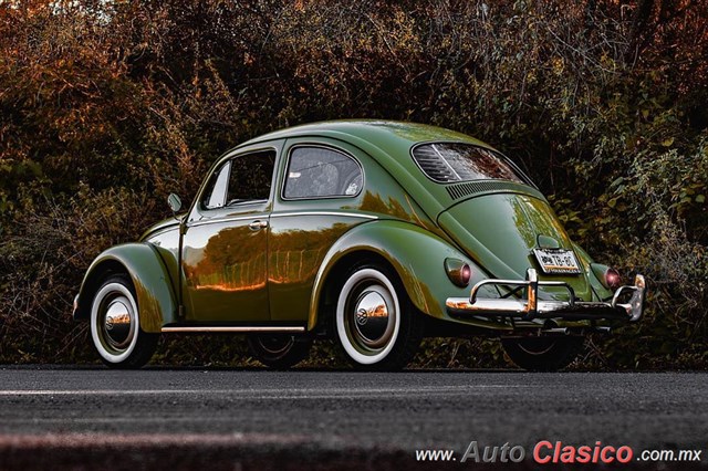 1958 Volkswagen Tipo 1 - Día Nacional del Auto Antiguo Monterrey 2019