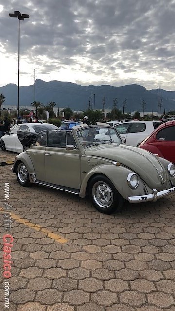 1966 Volkwagen Convertible - Desfile Monterrey Día Nacional del Auto Antiguo