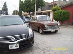 Mi blue bird 1964 - Mi blue bird 1964