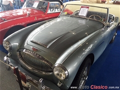 Austin Healey 3000