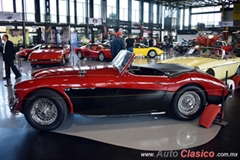 1962 Austin Healey 3000 MKII Motor 6L de 3000cc 136hp