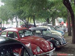 Regio Volks 2015 - Imágenes del Evento - Parte II