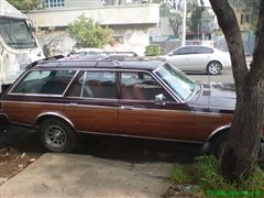 DODGE DART GUAYIN 1981 COLECTION - 