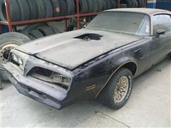 Trans Am 1975 - Trans Am 1975