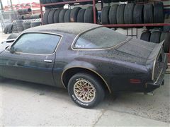 Trans Am 1975 - Trans Am 1975