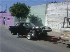 Pontiac firebird 81