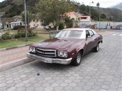 Mi Ford Torino