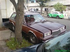 DODGE DART GUAYIN 1981 COLECTION - 