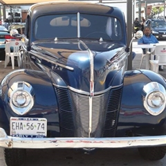 Mustang  SHELBY - Ford 1940