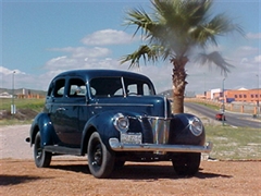 Mustang  SHELBY - Ford 1940