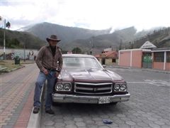 Mi Ford Torino