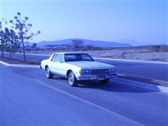 Caprice Classic Landau 1981 - Caprice Classic Landau 1981