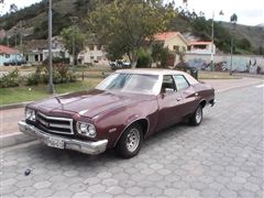 Mi Ford Torino