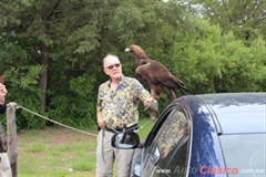 Puebla Classic Tour 2019 - Africam Safari