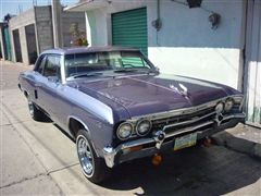 CHEVELLE 67 - CHEVELLE 67