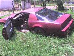 Pontiac Firebird 1982 - Asi lo encontre, estaba abandonado