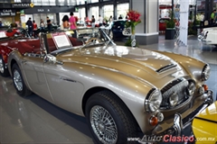 1967 Austin Healey 3000 BJ8 MKIII Motor 6L de 3000cc 150hp