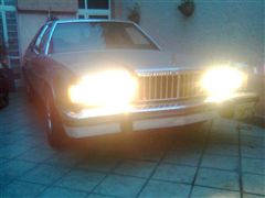 Grand Marquis 1984 - Grand Marquis 1984