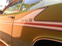 Super Bee 360