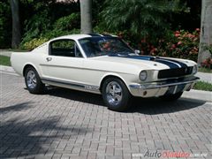 Ford Mustang Shelby 1965 GT350