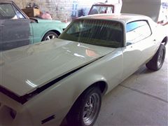 TRANS AM 79 - TRANS AM 79