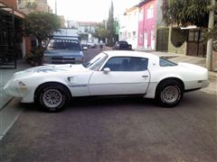 Fotos de pontiac trans am 1980 firebird