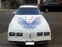 Fotos de pontiac trans am 1980 firebird