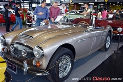 1967 Austin Healey 3000 BJ8 MKIII Motor 6L de 3000cc 150hp