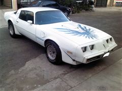 Fotos de pontiac trans am 1980 firebird