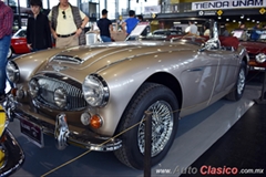 1967 Austin Healey 3000 BJ8 MKIII Motor 6L de 3000cc 150hp