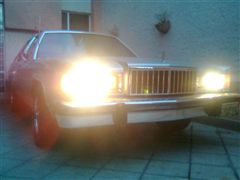 Grand Marquis 1984 - Grand Marquis 1984