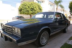 Monte Carlo 1983 landau