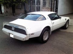 Fotos de pontiac trans am 1980 firebird