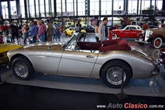 1967 Austin Healey 3000 BJ8 MKIII Motor 6L de 3000cc 150hp