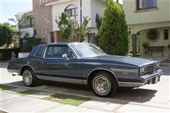 Monte Carlo 1983 landau