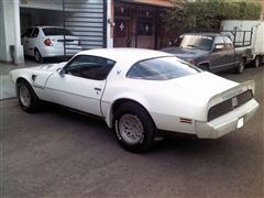 Fotos de pontiac trans am 1980 firebird