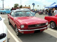 Mustang 1966 Coupe - Mustang 1966 Coupe