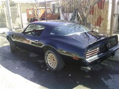 Trans Am 1975 - Trans Am 1975