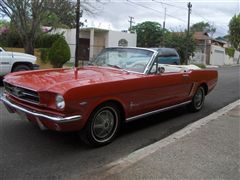 FORD MUSTANG 1965 CONVERTIBLE - Tomas Convertible